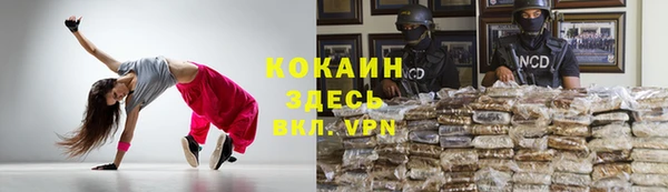 дживик Алексеевка