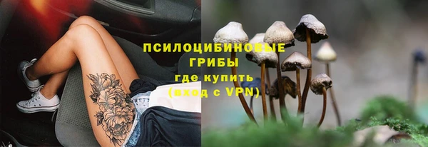 дживик Алексеевка