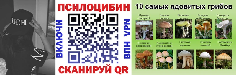 KRAKEN ССЫЛКА  Рыбное  Псилоцибиновые грибы прущие грибы 